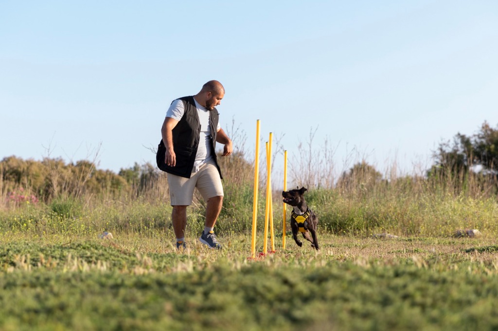 Agility