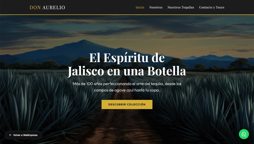 Demo Web Express — diseño profesional